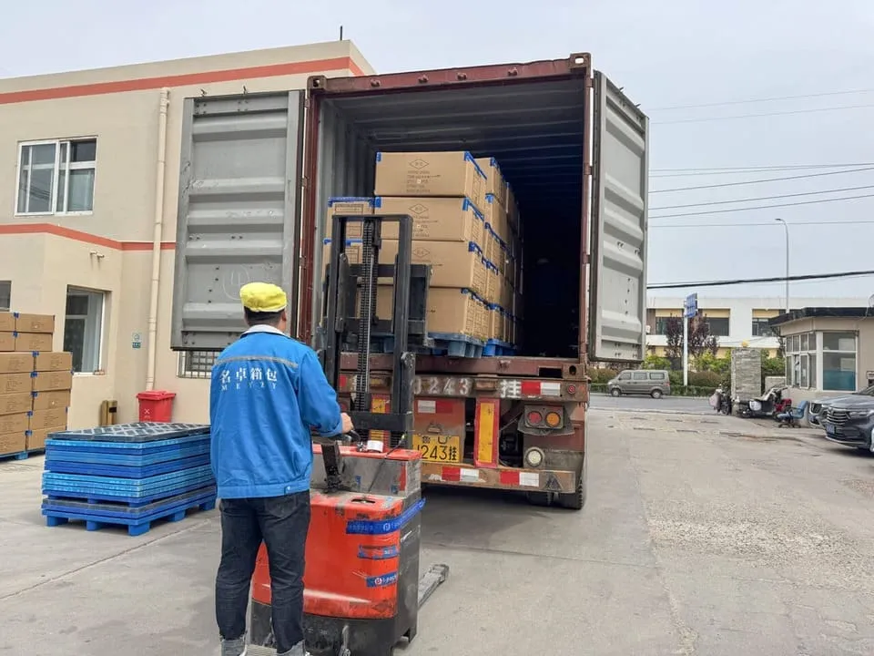 Meyzy Shipping Records