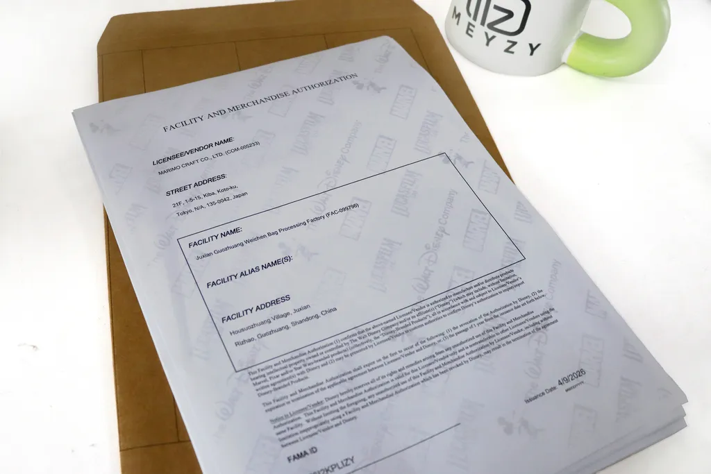 Meyzy - Disney Audit Report